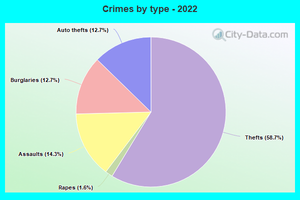 Crimes by type - 2022