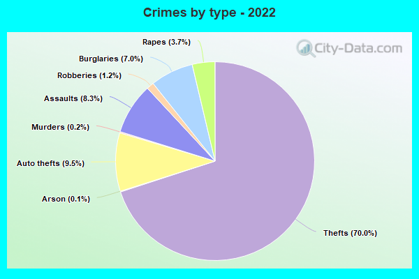 Crimes by type - 2022