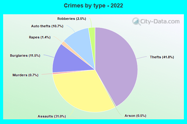 Crimes by type - 2022