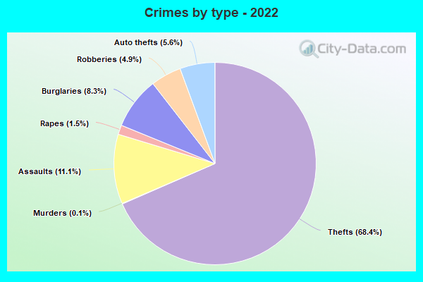 Crimes by type - 2022