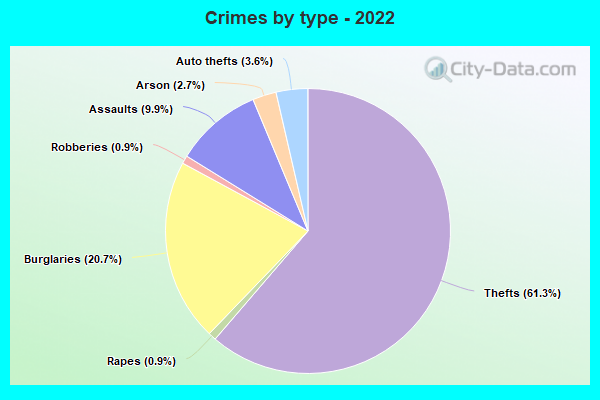 Crimes by type - 2022