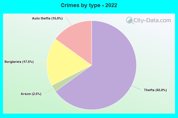 Crimes by type - 2022