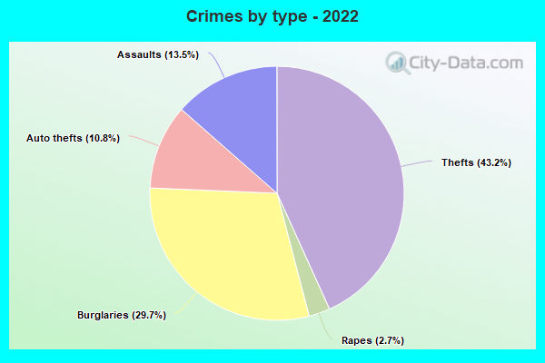 Crimes by type - 2022