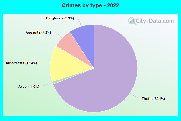 Crimes by type - 2022