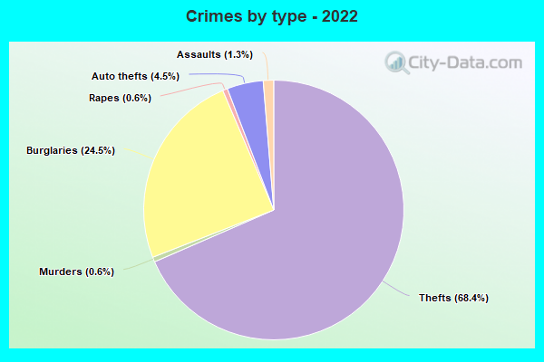 Crimes by type - 2022