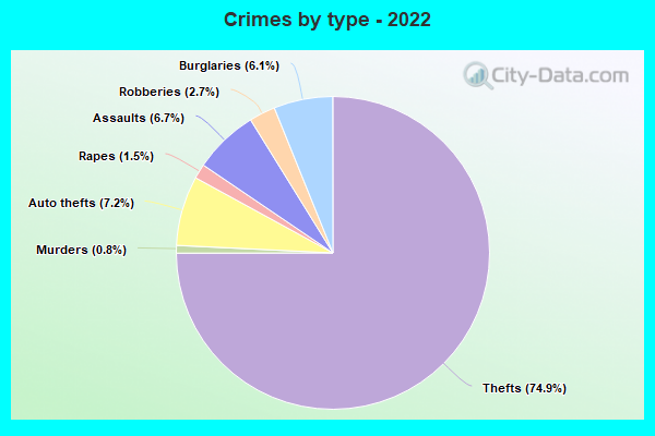 Crimes by type - 2022