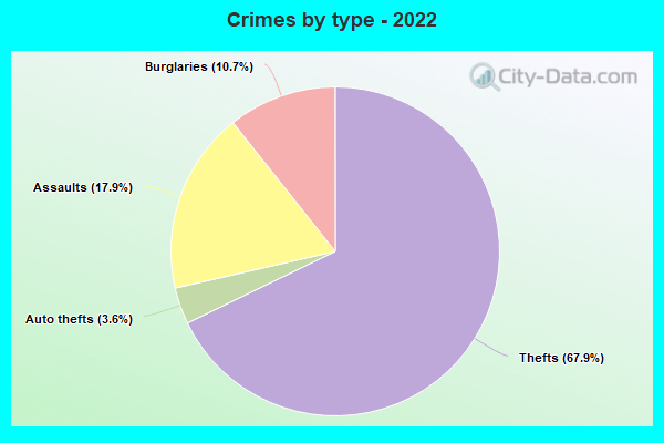 Crimes by type - 2022