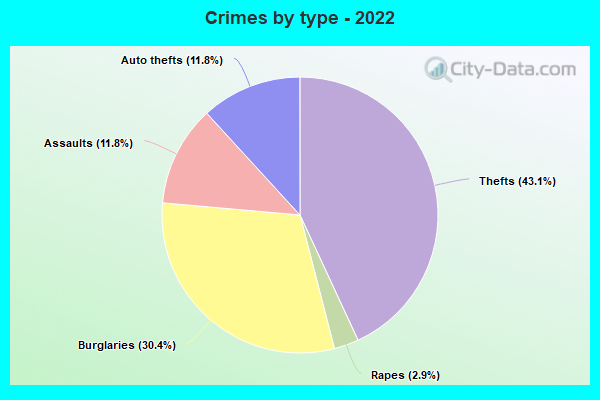 Crimes by type - 2022