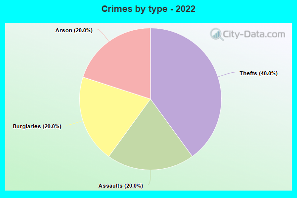 Crimes by type - 2022