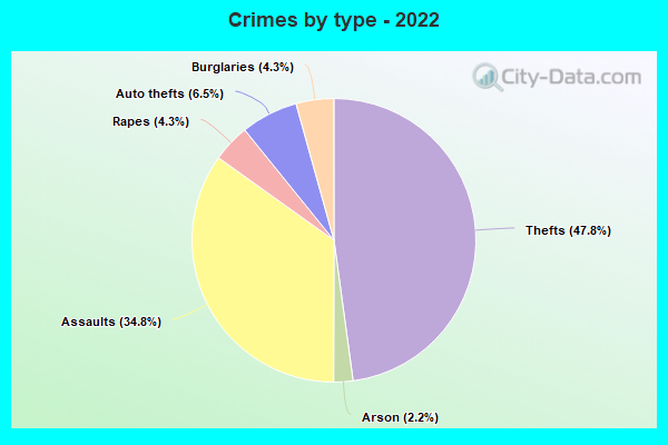 Crimes by type - 2022