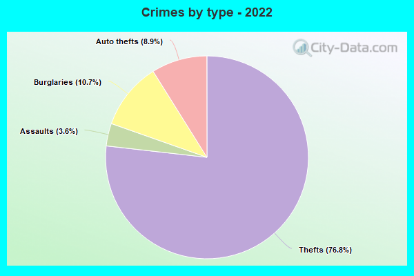 Crimes by type - 2022