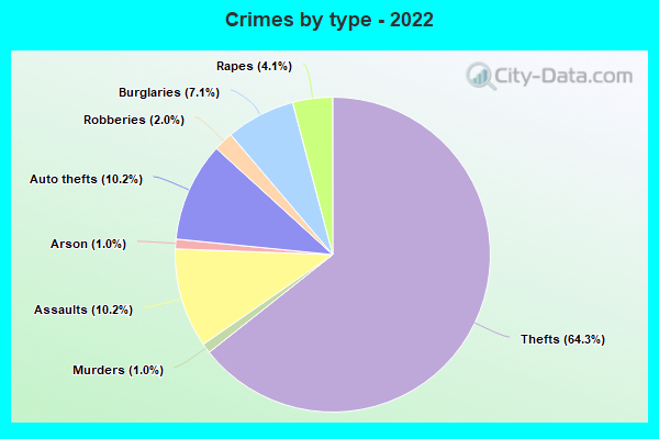 Crimes by type - 2022