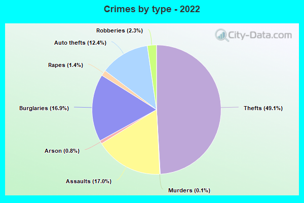 Crimes by type - 2022