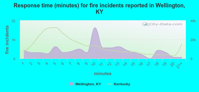 Response time (minutes) for fire incidents reported in Wellington, KY