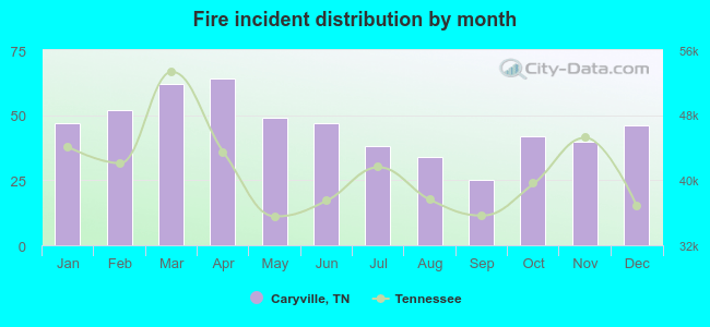 Fire incident distribution by month