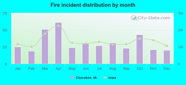 Fire incident distribution by month