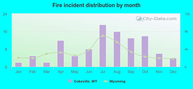 Fire incident distribution by month