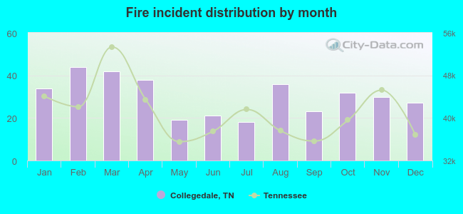 Fire incident distribution by month