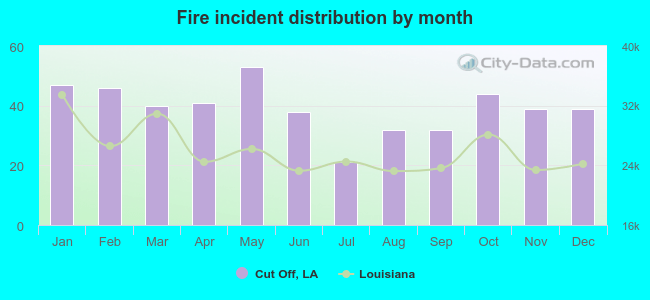 Fire incident distribution by month