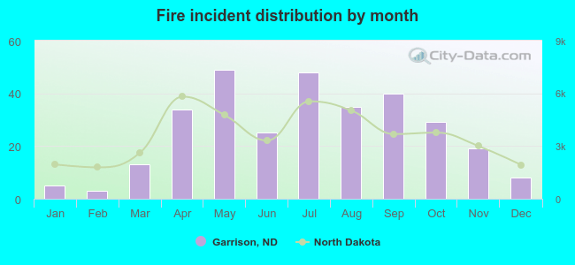 Fire incident distribution by month