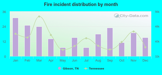 Fire incident distribution by month