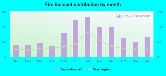 Fire incident distribution by month