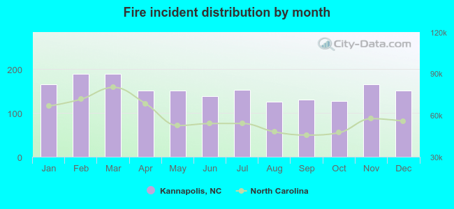 Fire incident distribution by month