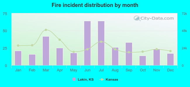 Fire incident distribution by month