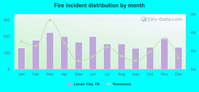 Fire incident distribution by month