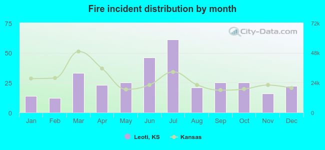 Fire incident distribution by month