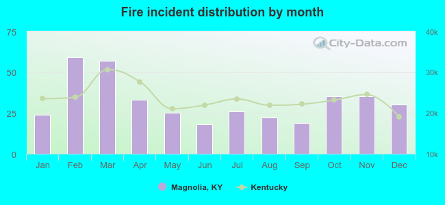 Fire incident distribution by month