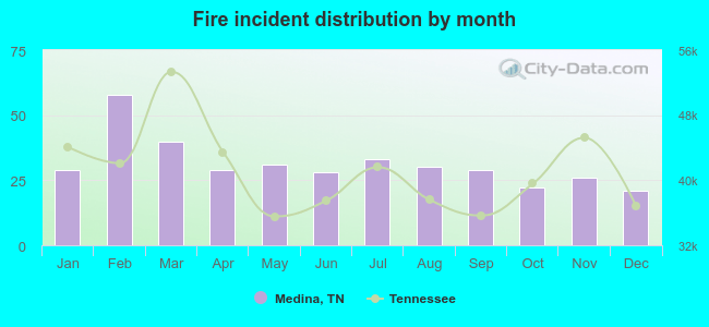 Fire incident distribution by month