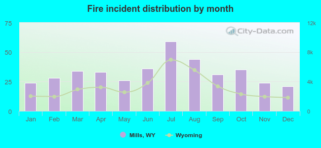 Fire incident distribution by month