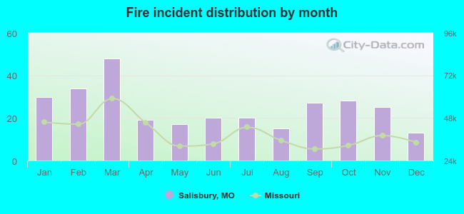 Fire incident distribution by month