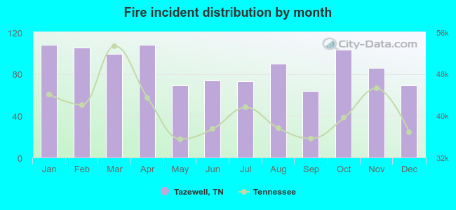 Fire incident distribution by month