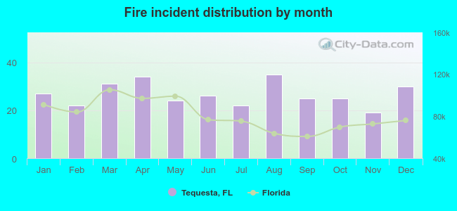 Fire incident distribution by month