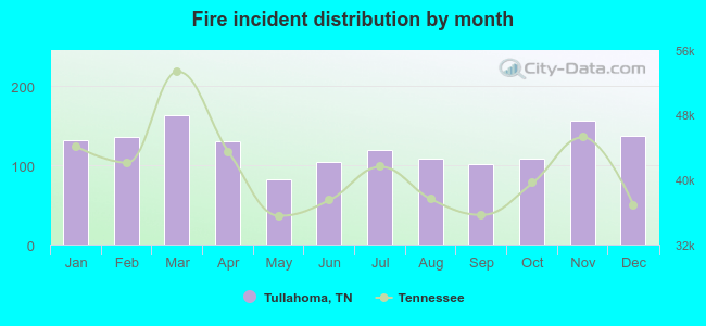 Fire incident distribution by month