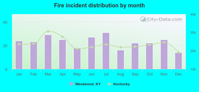 Fire incident distribution by month