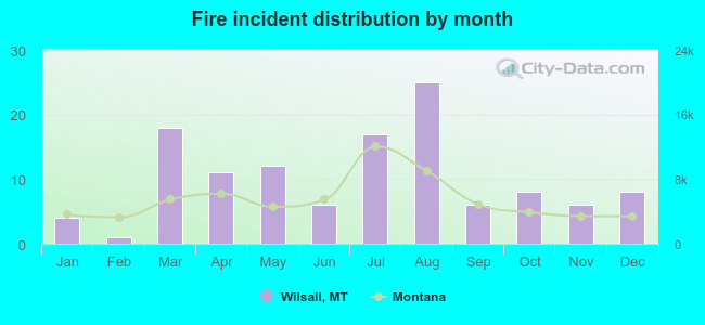 Fire incident distribution by month