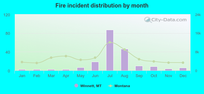 Fire incident distribution by month