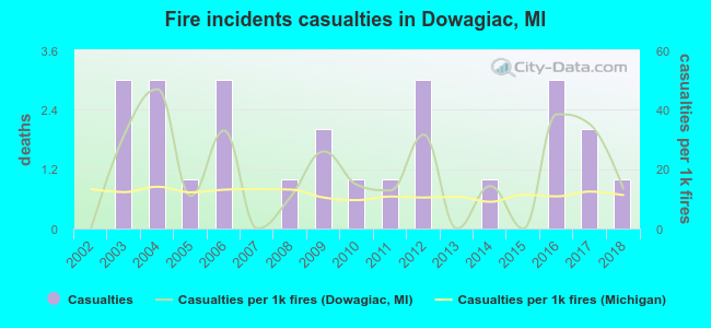 Fire incidents casualties in Dowagiac, MI