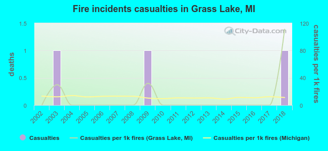 Fire incidents casualties in Grass Lake, MI