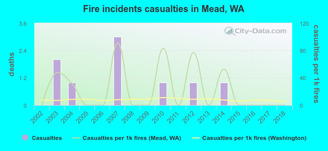 Fire incidents casualties in Mead, WA