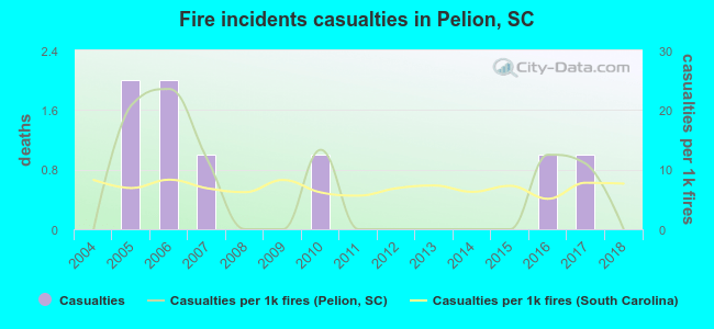 Fire incidents casualties in Pelion, SC
