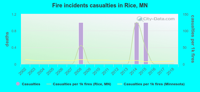 Fire incidents casualties in Rice, MN