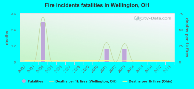 Fire incidents fatalities in Wellington, OH