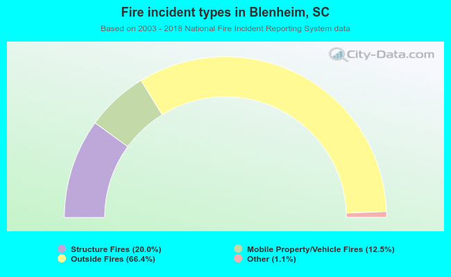 Fire incident types in Blenheim, SC