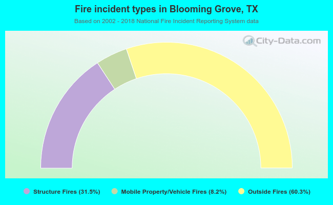 Fire incident types in Blooming Grove, TX
