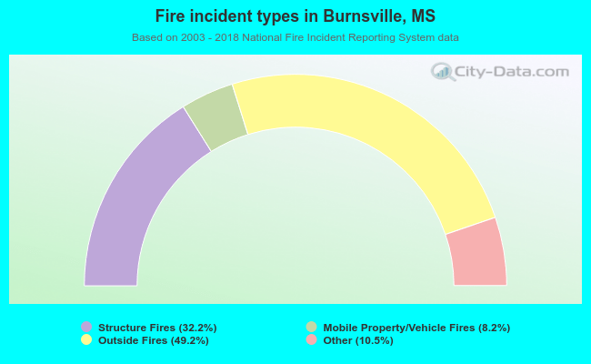Fire incident types in Burnsville, MS