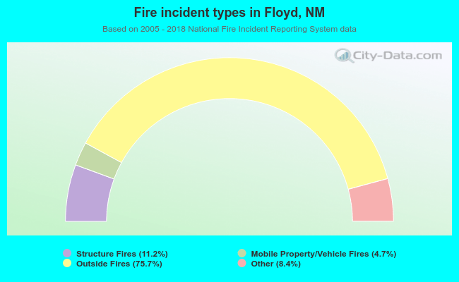 Fire incident types in Floyd, NM